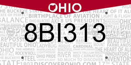 8BI313 Ohio License Plate
