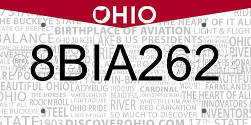8BIA262 Ohio License Plate