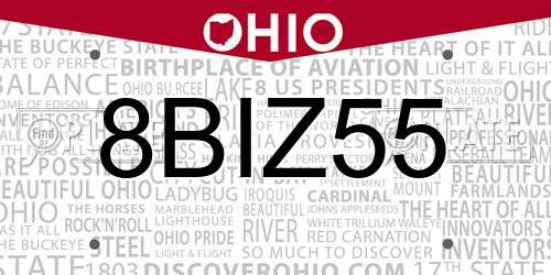 8BIZ55 Ohio License Plate