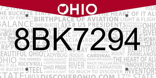 8BK7294 Ohio License Plate
