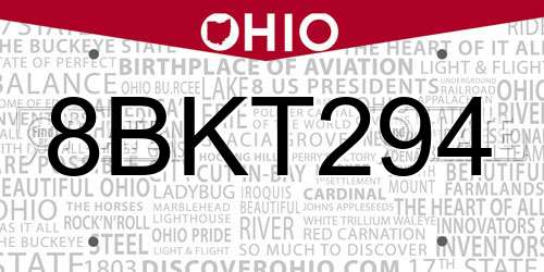 8BKT294 Ohio License Plate