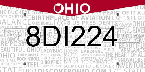 8DI224 Ohio License Plate