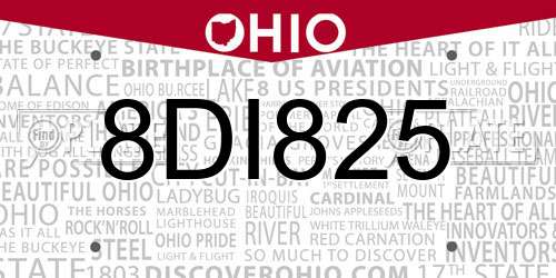 8DI825 Ohio License Plate