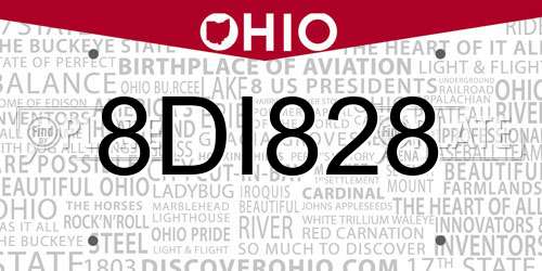 8DI828 Ohio License Plate