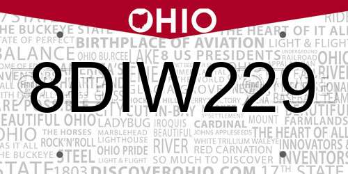 8DIW229 Ohio License Plate