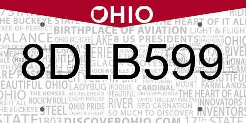8DLB599 Ohio License Plate