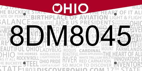 8DM8045 Ohio License Plate