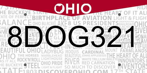 8DOG321 Ohio License Plate