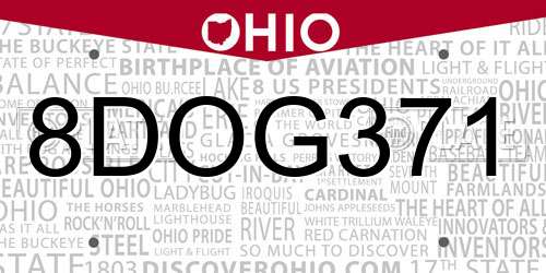 8DOG371 Ohio License Plate