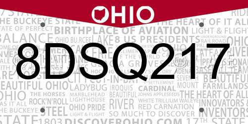 8DSQ217 Ohio License Plate