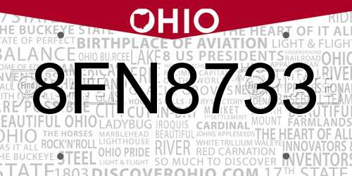 8FN8733 Ohio License Plate