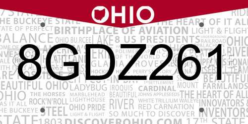 8GDZ261 Ohio License Plate