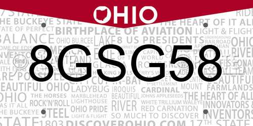 8GSG58 Ohio License Plate