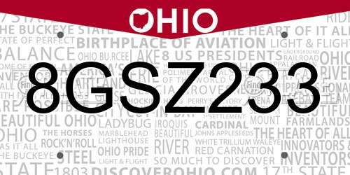 8GSZ233 Ohio License Plate