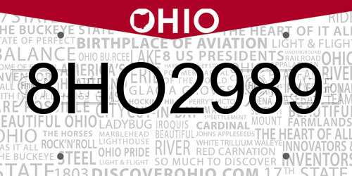 8HO2989 Ohio License Plate