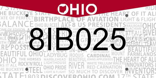 8IB025 Ohio License Plate