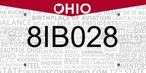 8IB028 Ohio License Plate
