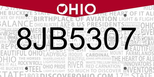8JB5307 Ohio License Plate