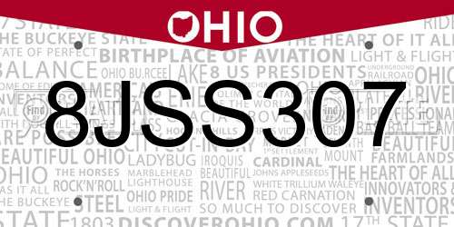 8JSS307 Ohio License Plate