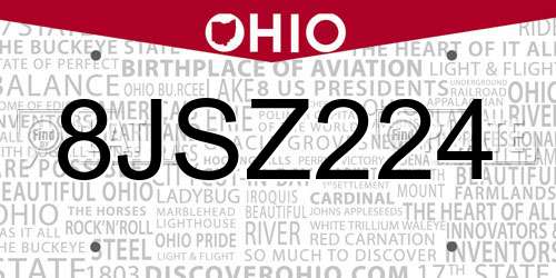 8JSZ224 Ohio License Plate