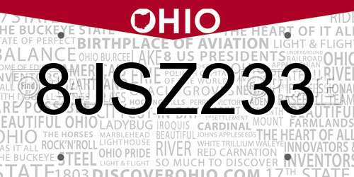 8JSZ233 Ohio License Plate