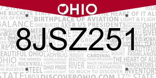 8JSZ251 Ohio License Plate