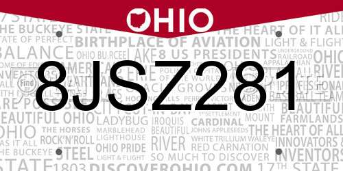 8JSZ281 Ohio License Plate