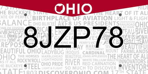 8JZP78 Ohio License Plate