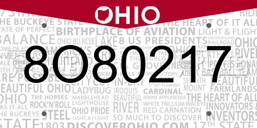 8O80217 Ohio License Plate