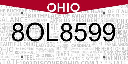 8OL8599 Ohio License Plate