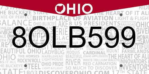 8OLB599 Ohio License Plate