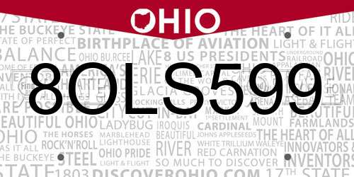 8OLS599 Ohio License Plate