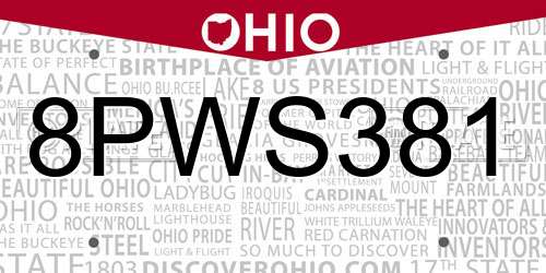 8PWS381 Ohio License Plate