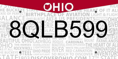 8QLB599 Ohio License Plate
