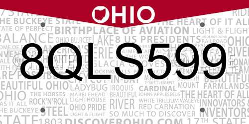 8QLS599 Ohio License Plate