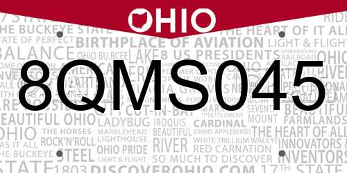 8QMS045 Ohio License Plate