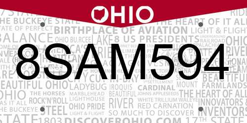 8SAM594 Ohio License Plate