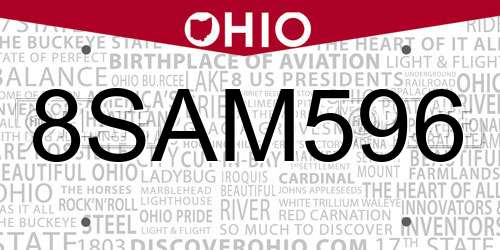 8SAM596 Ohio License Plate