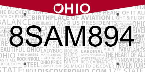 8SAM894 Ohio License Plate