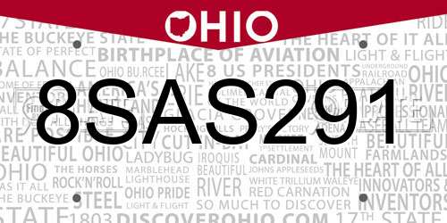 8SAS291 Ohio License Plate
