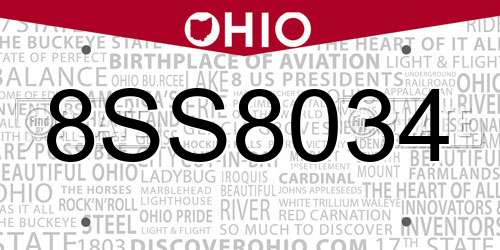 8SS8034 Ohio License Plate