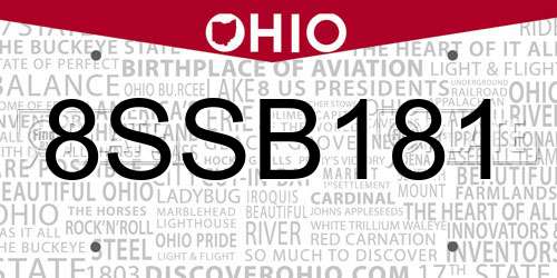 8SSB181 Ohio License Plate