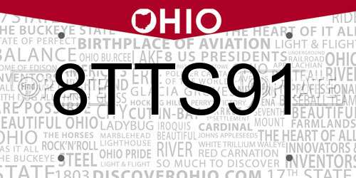 8TTS91 Ohio License Plate