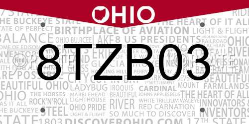 8TZB03 Ohio License Plate