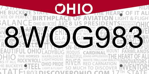 8WOG983 Ohio License Plate