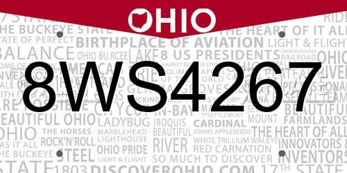 8WS4267 Ohio License Plate