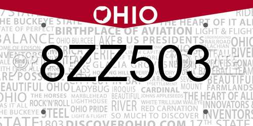 8ZZ503 Ohio License Plate