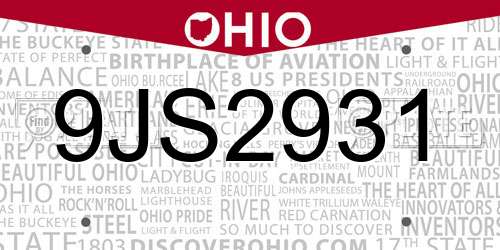 9JS2931 Ohio License Plate