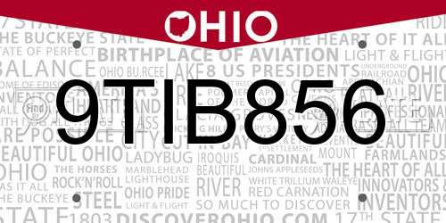 9TIB856 Ohio License Plate