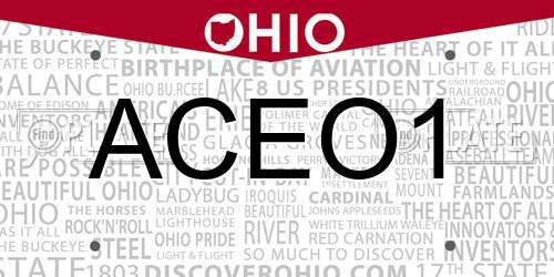 ACEO1 Ohio License Plate